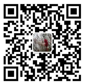 百家游戏平台试玩